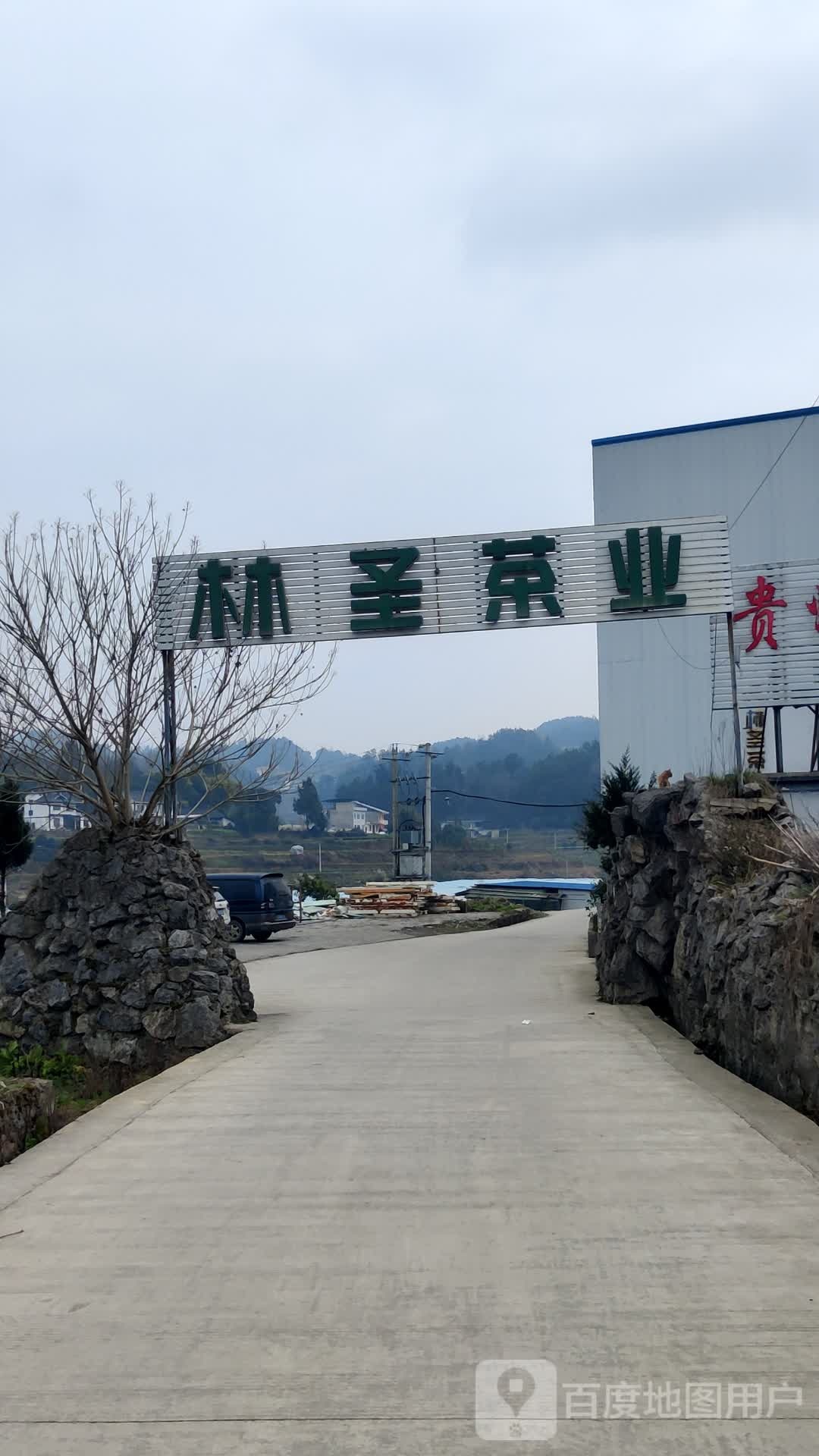林圣茶业