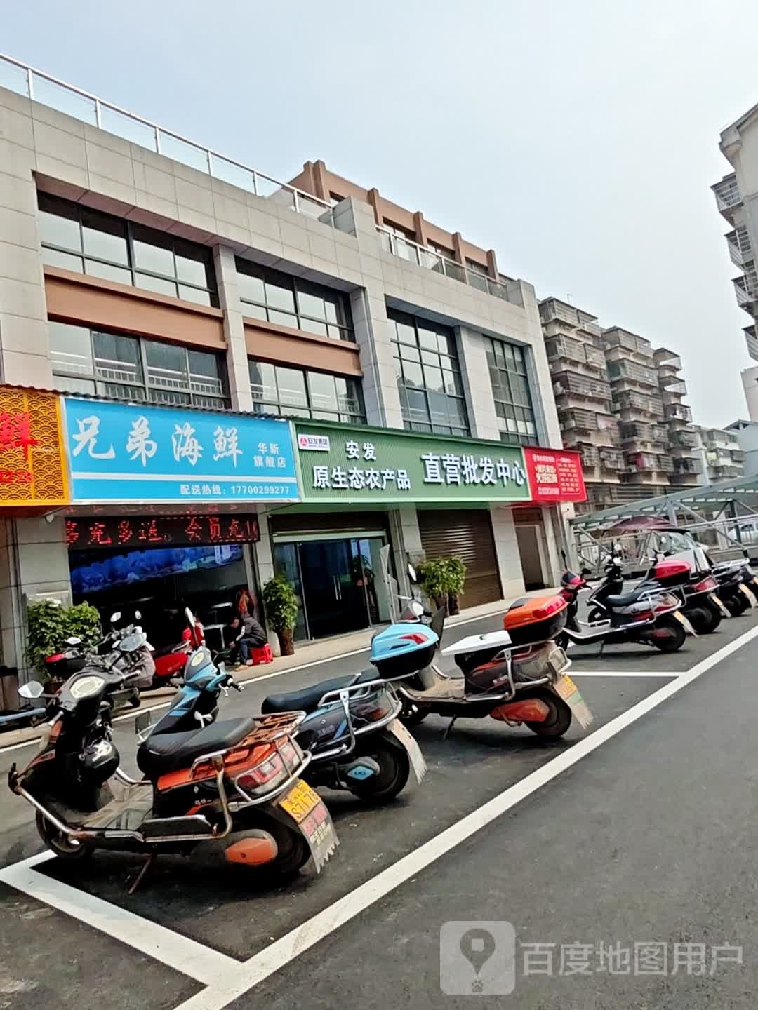 怏驶尽兄弟海鲜