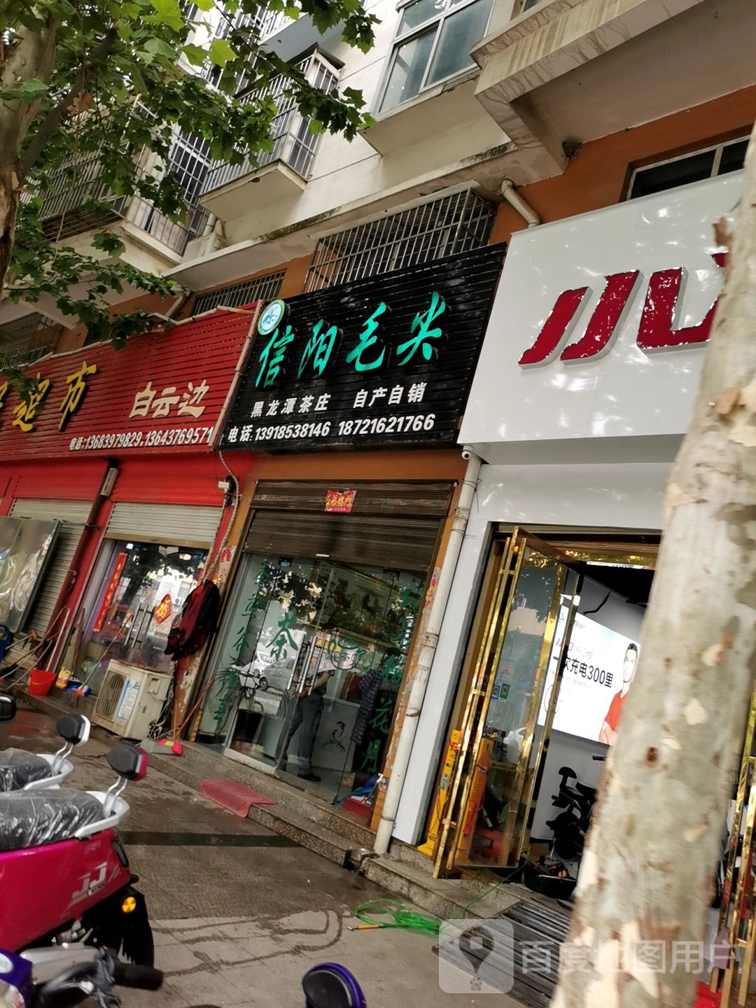 息县信阳毛尖(南大街店)