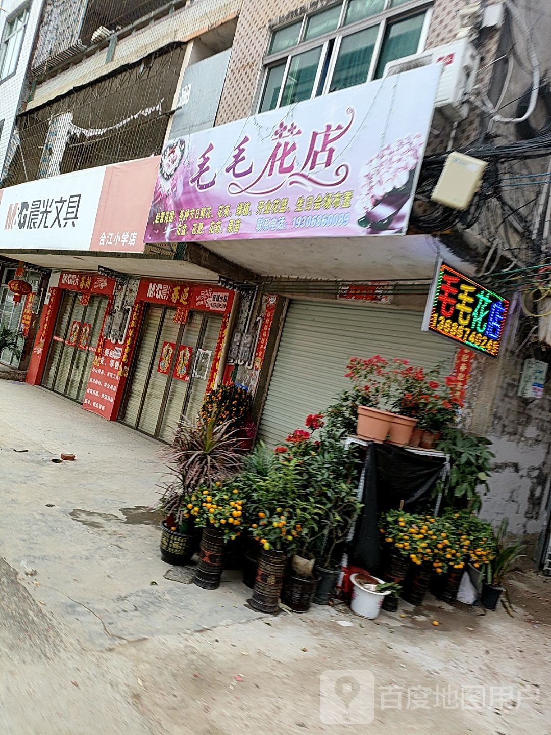 毛毛花店