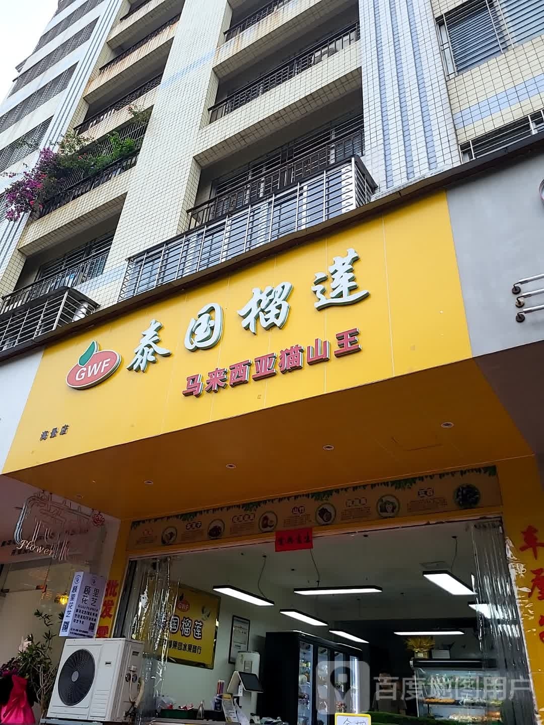 GWF泰国榴莲(海景店)
