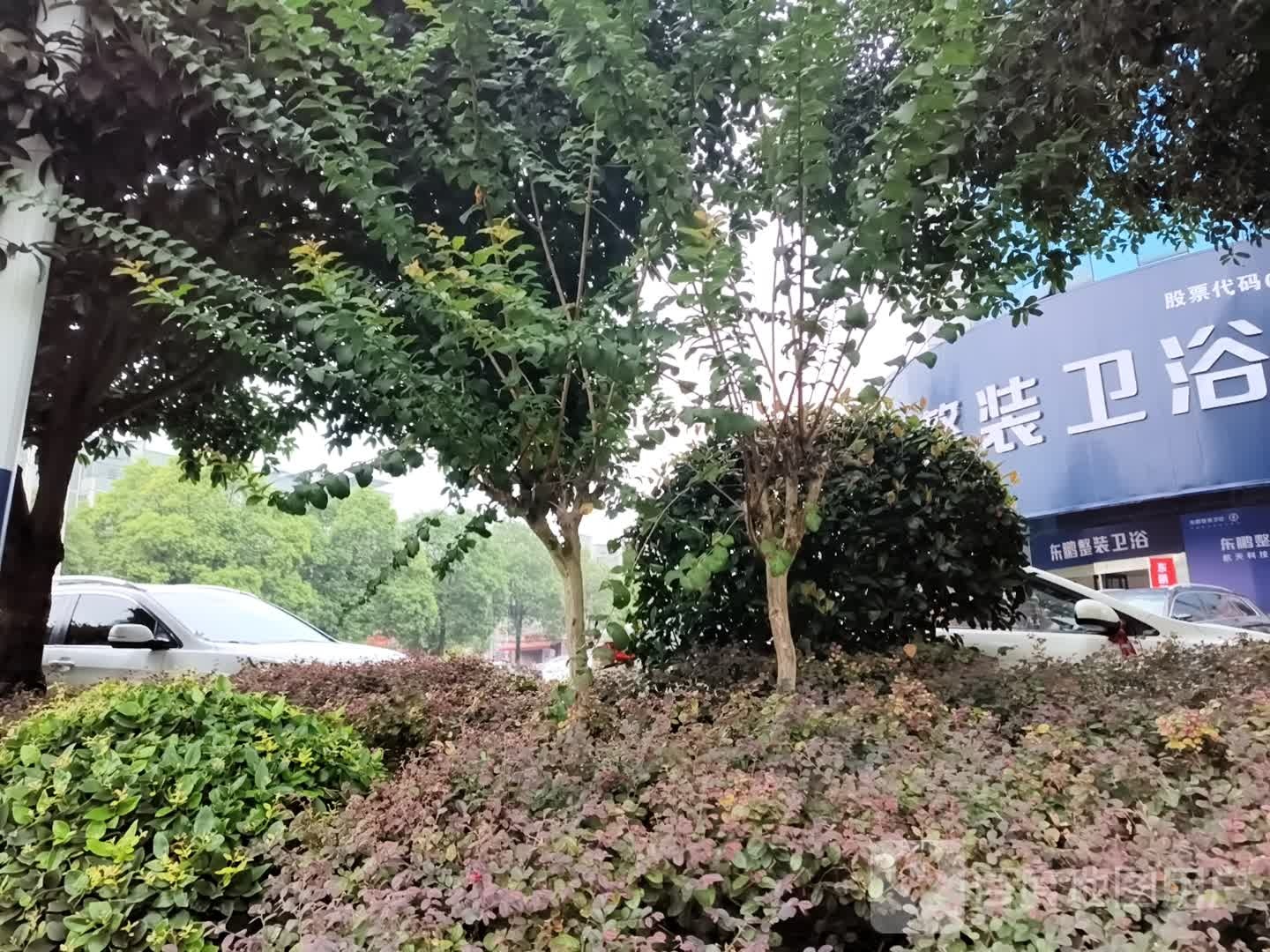 东鹏整装卫浴(武冈店)