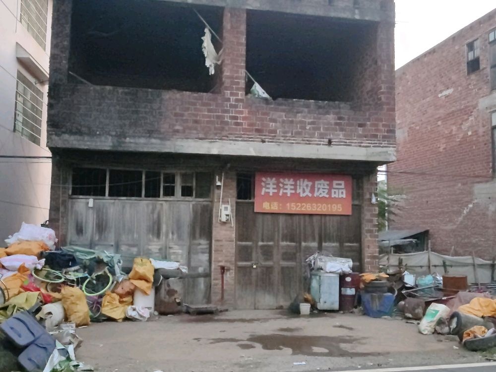 洋洋收废品