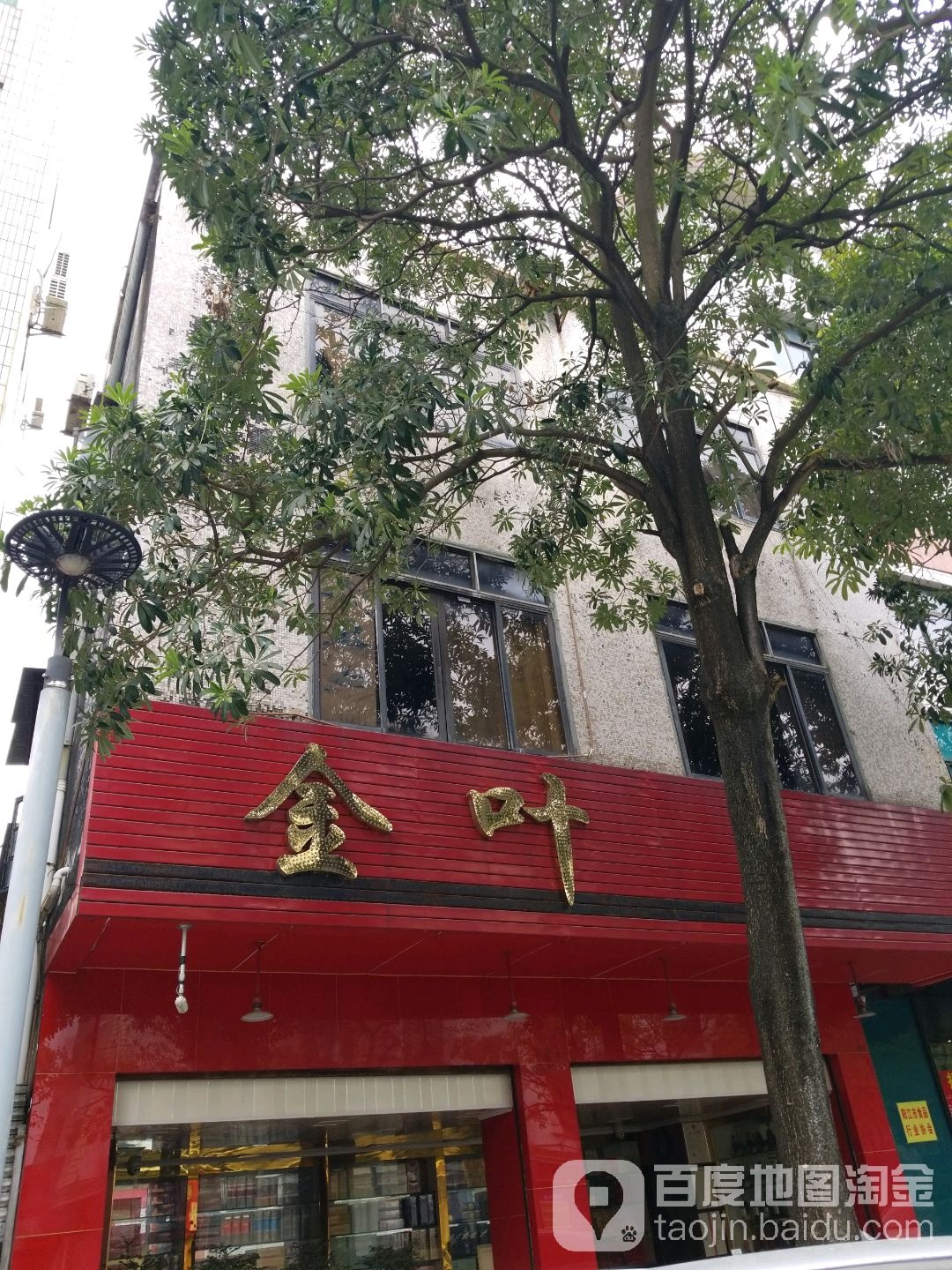 金叶