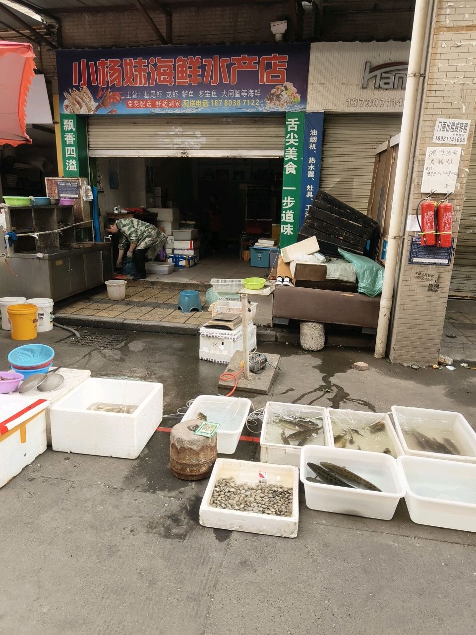 小杨妹海鲜水产店