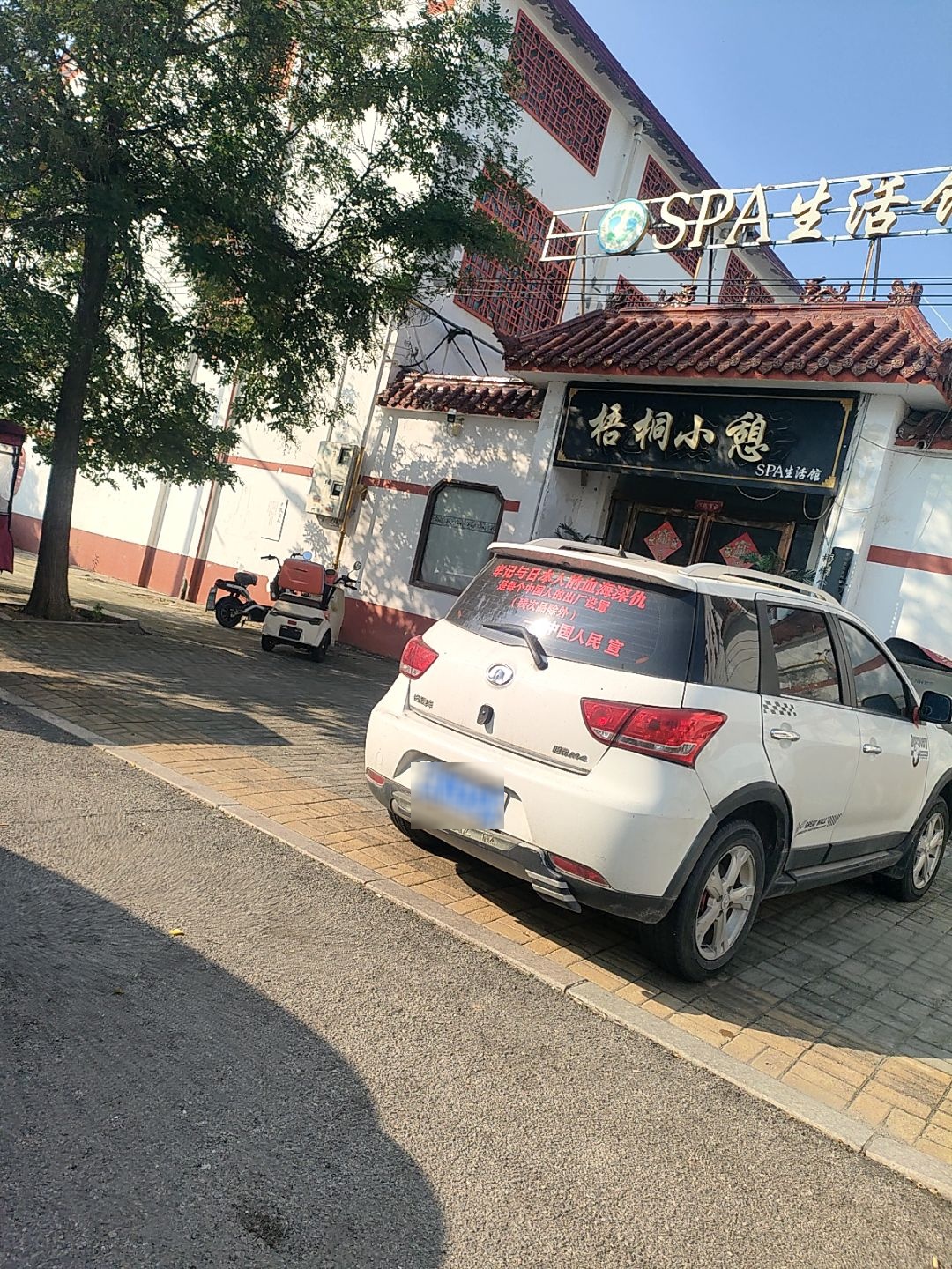 梧桐小憩