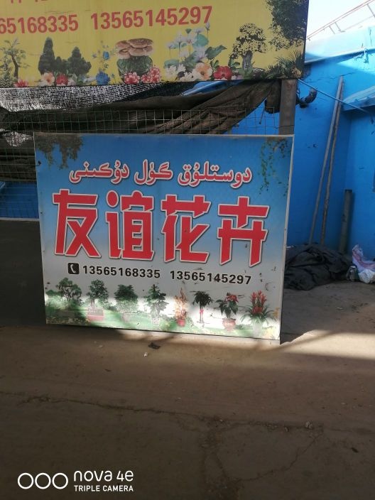 阿克苏友谊花卉种植经销中心