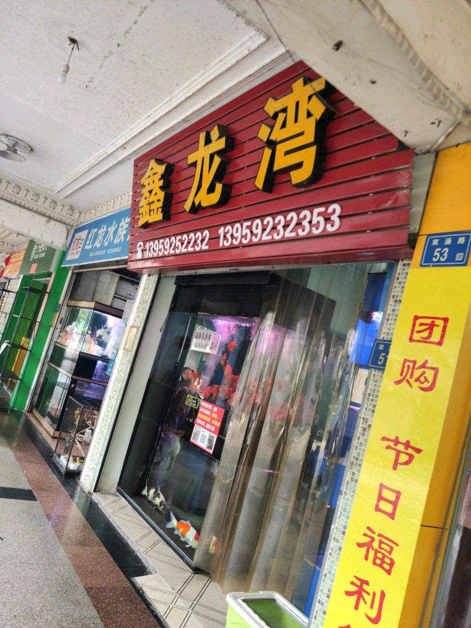 鑫龙湾水族