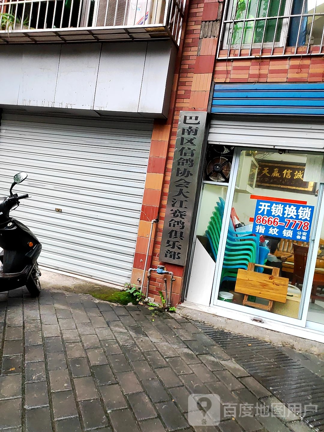 巴南区信鸽协会大江赛鸽俱乐部