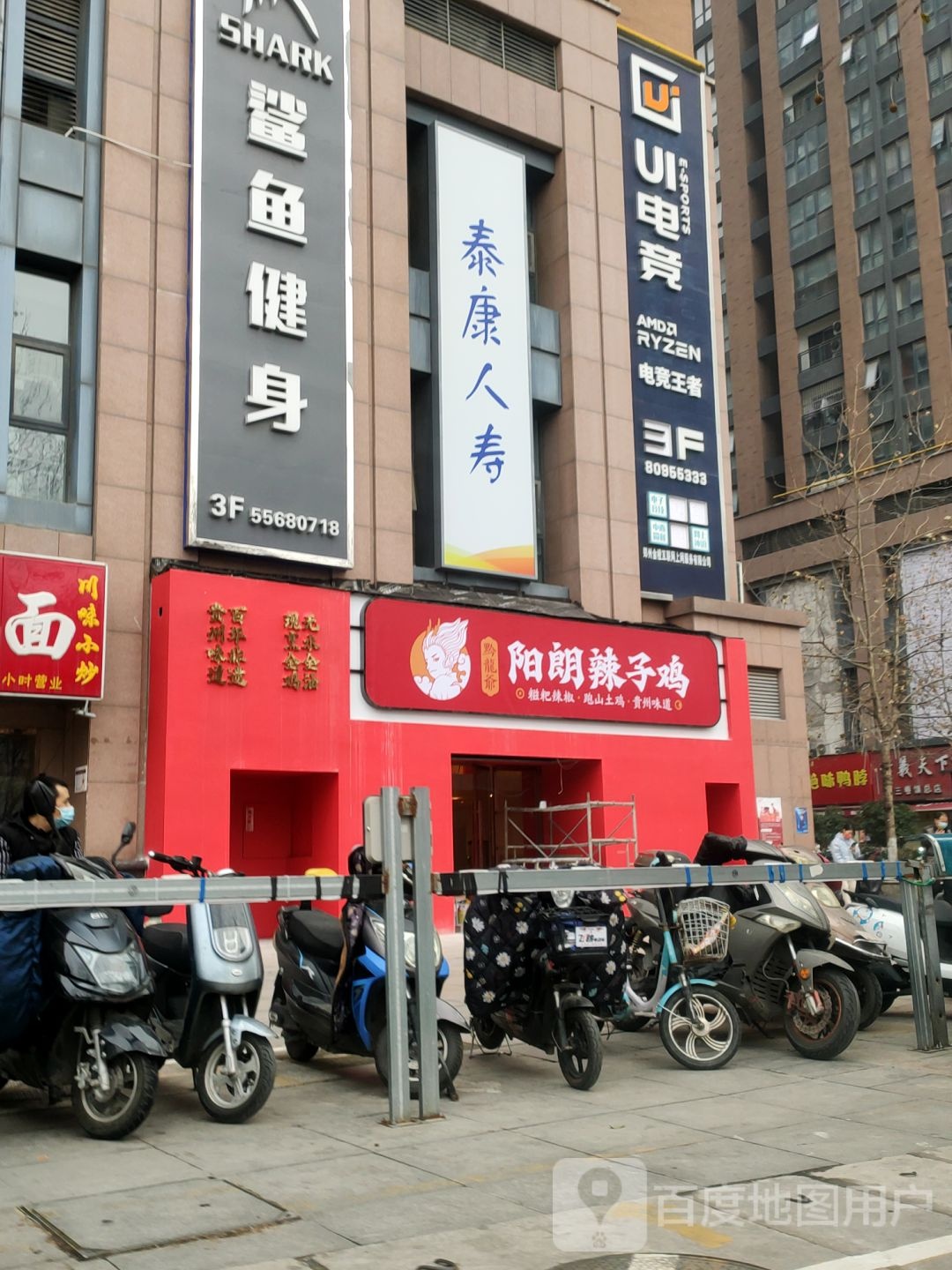 鲨鱼建设