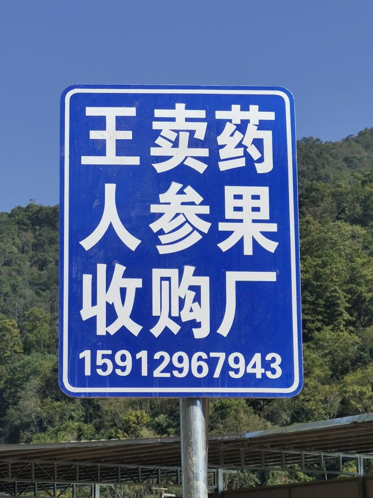 景东王卖药人参果发展联盟(1收购点)