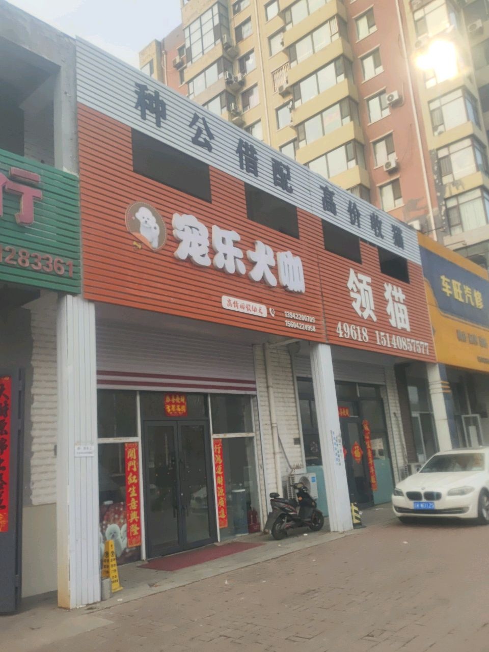 宠乐犬咖