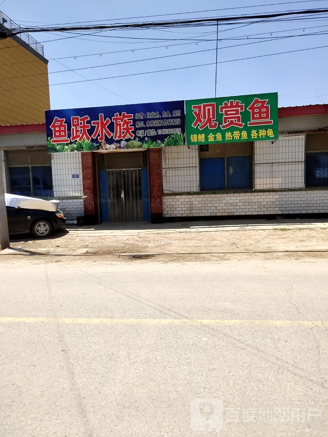 站点水族