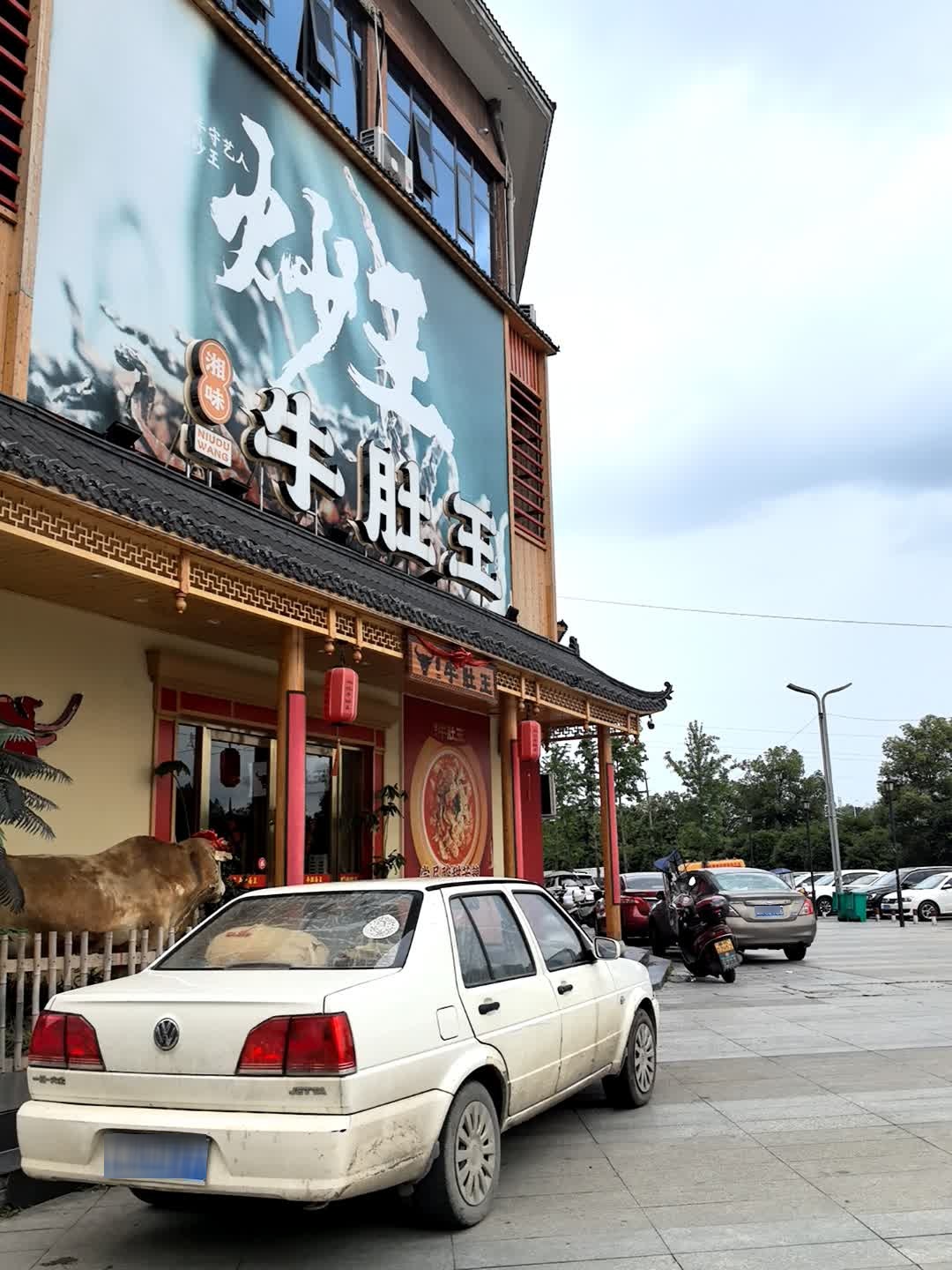 湘味牛肚王