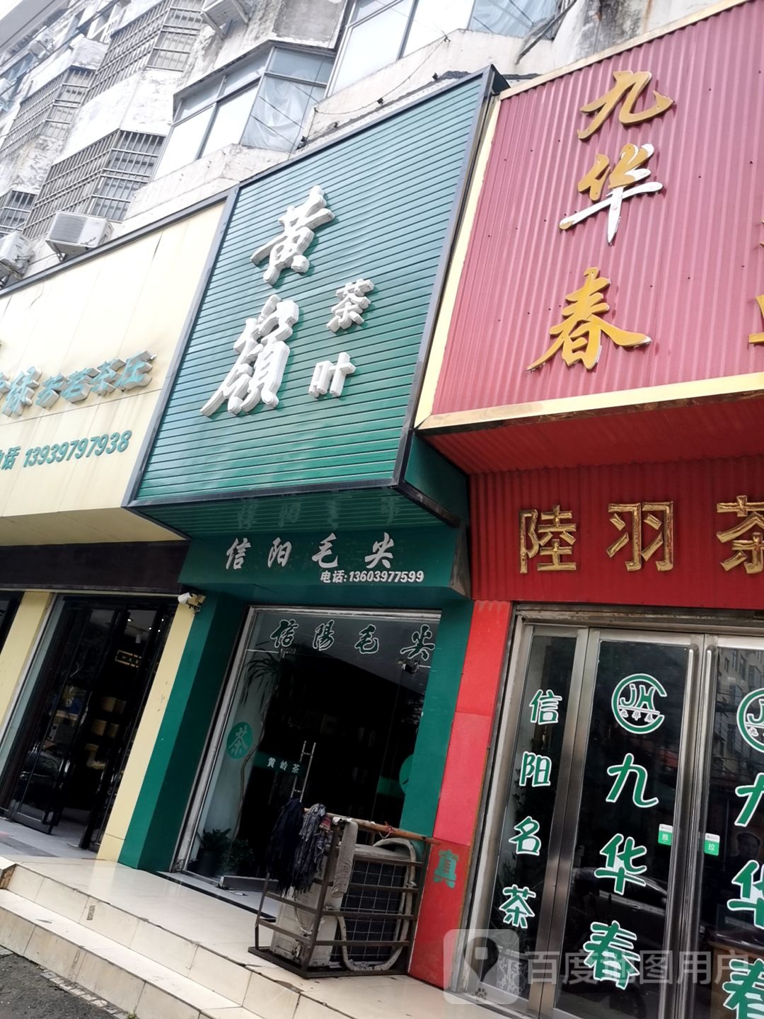 固始县信阳毛尖(中山大街店)