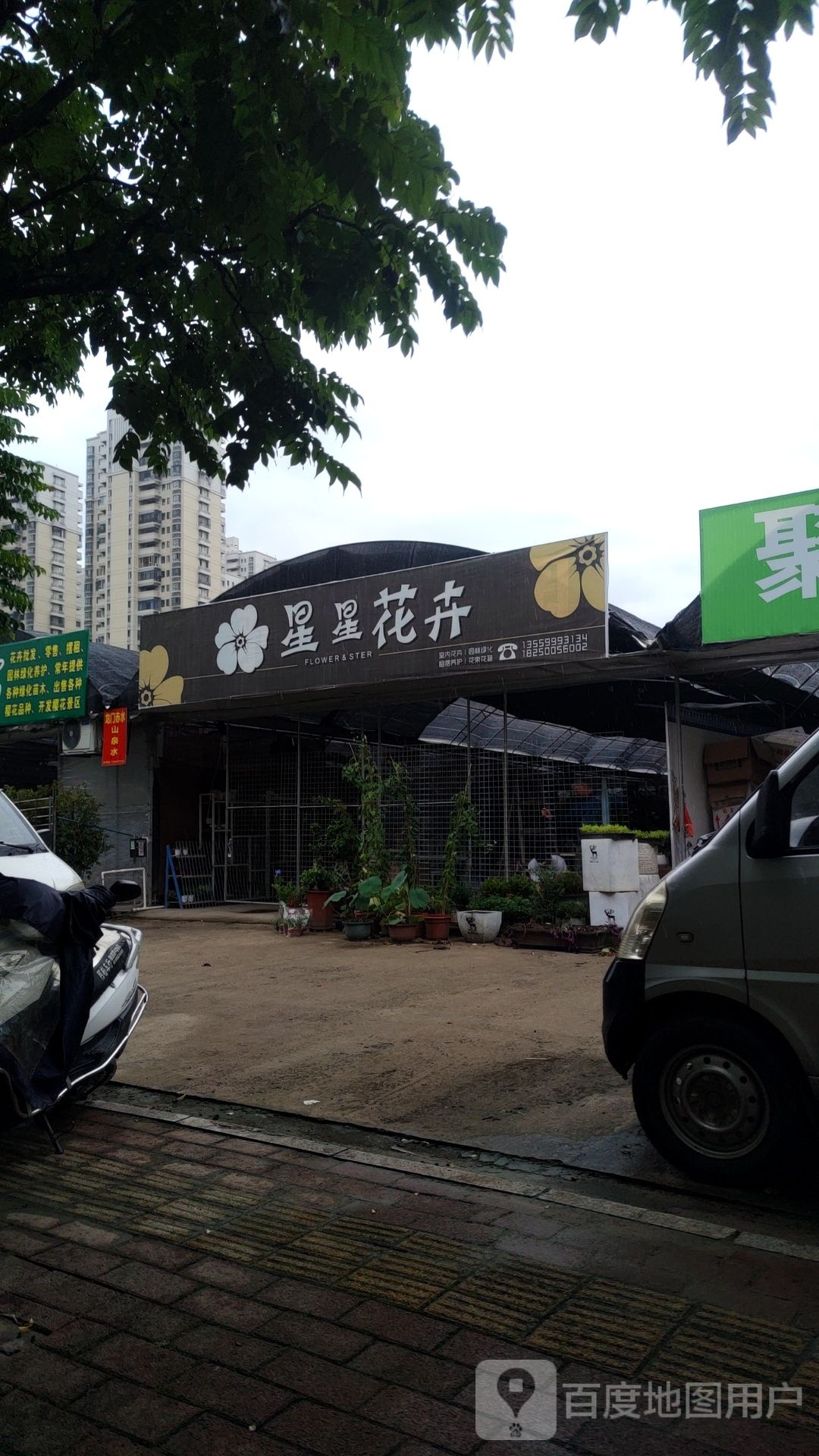 星星花市