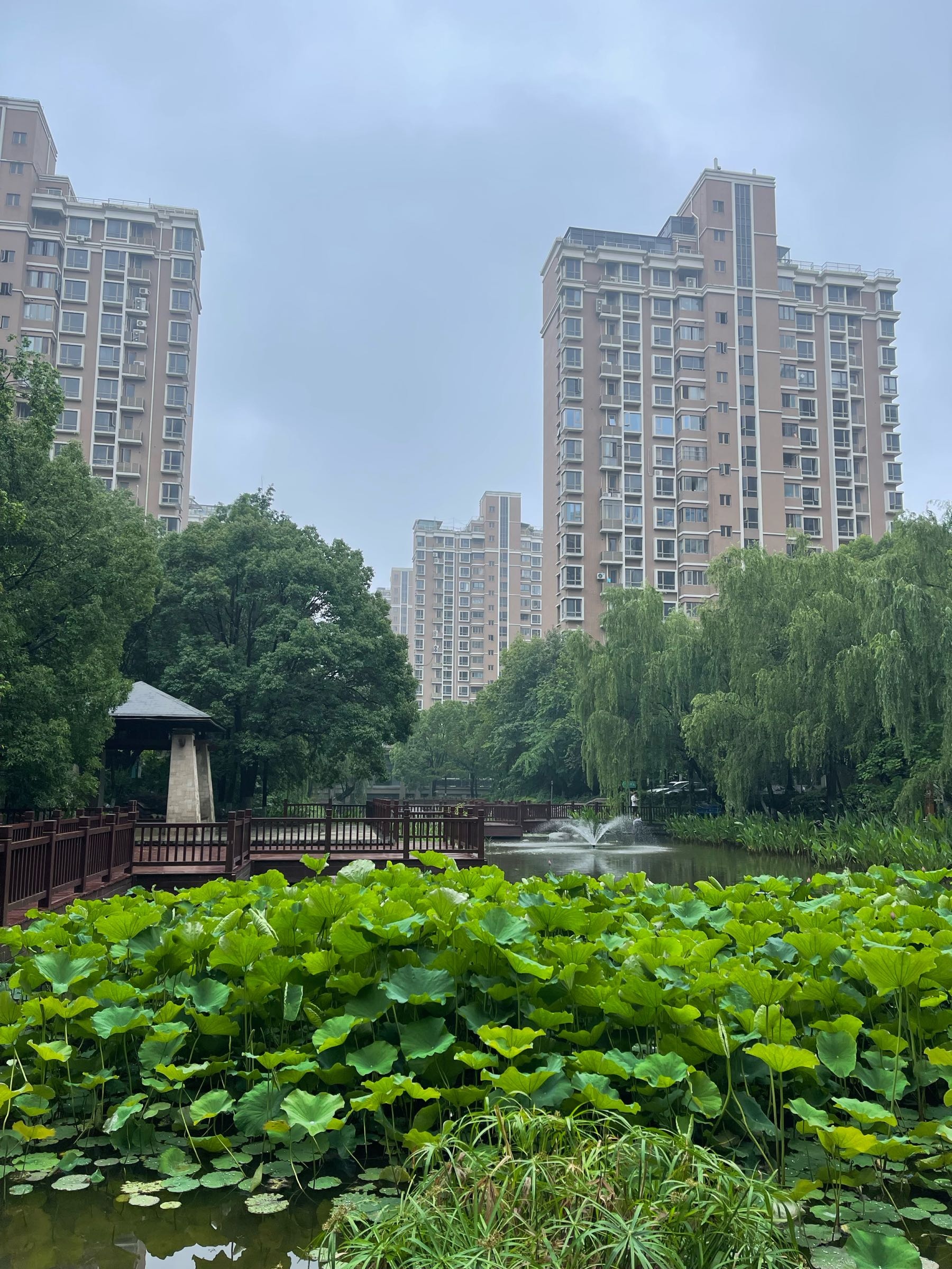 御上海
