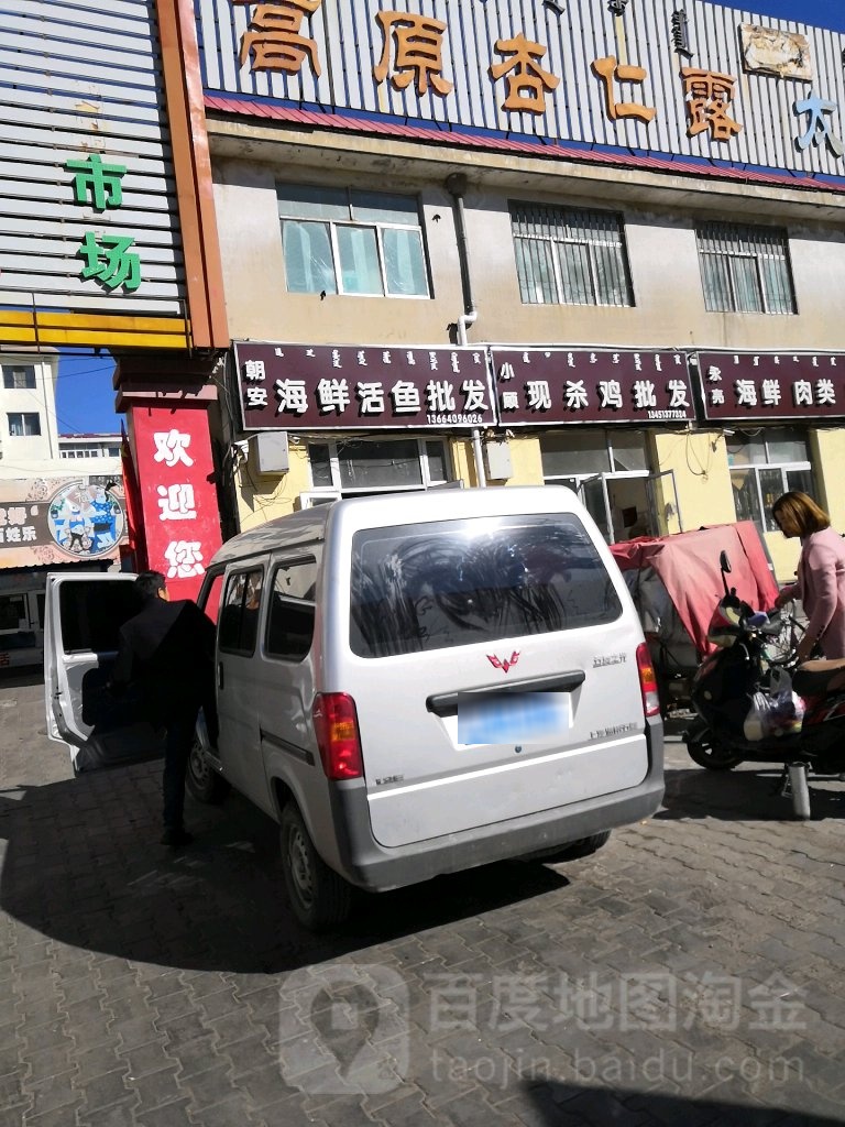 朝安海鲜活运批发