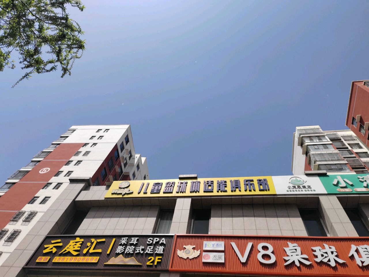 体能虎儿童篮球体适能俱乐部