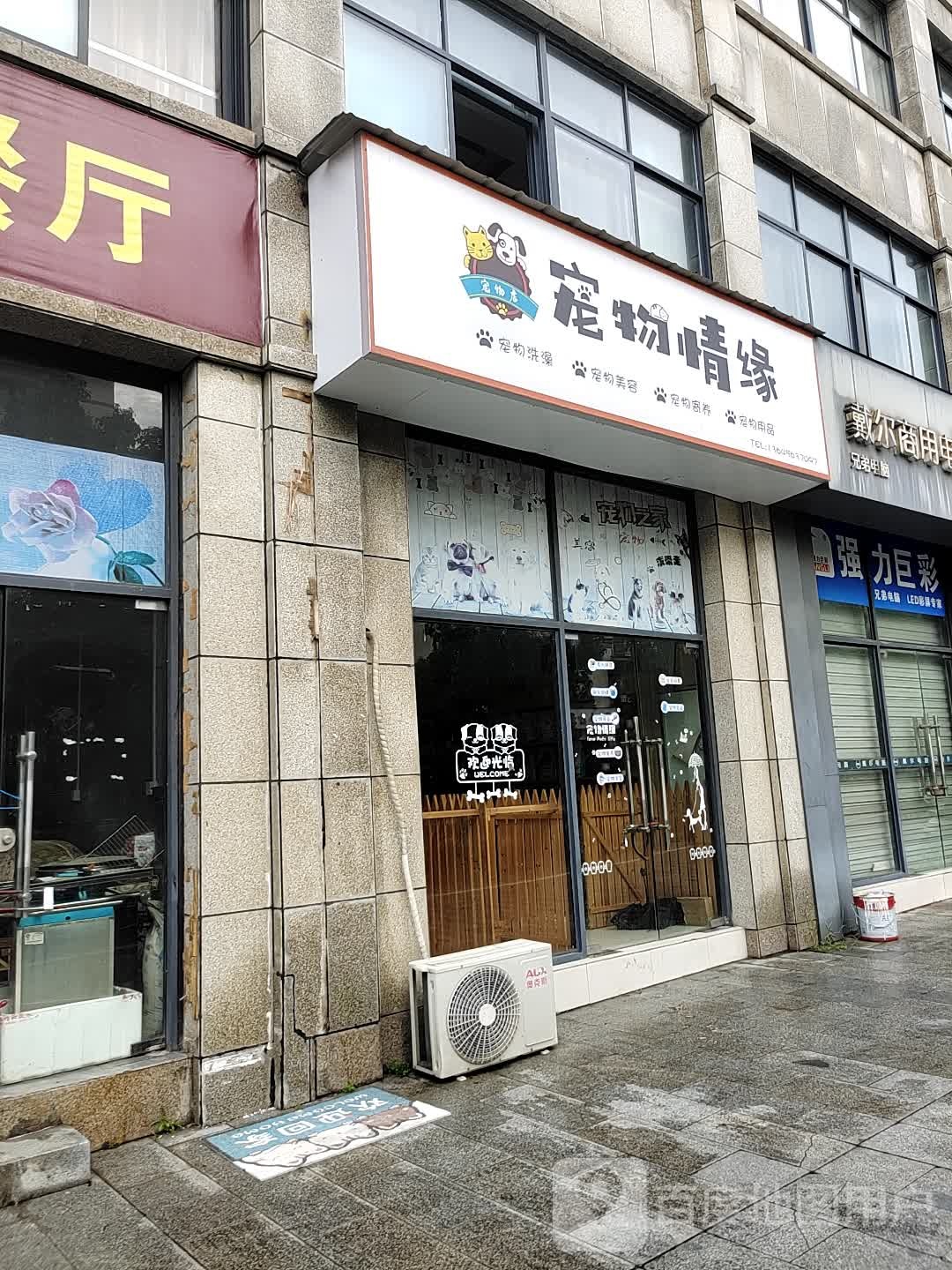 宠物情缘(城东路店)