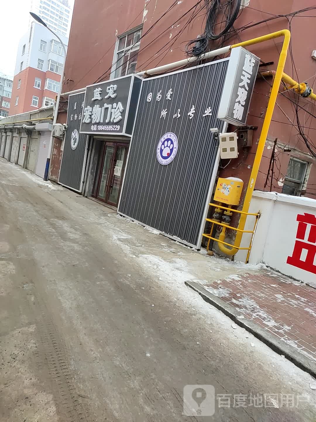 蓝天宠物