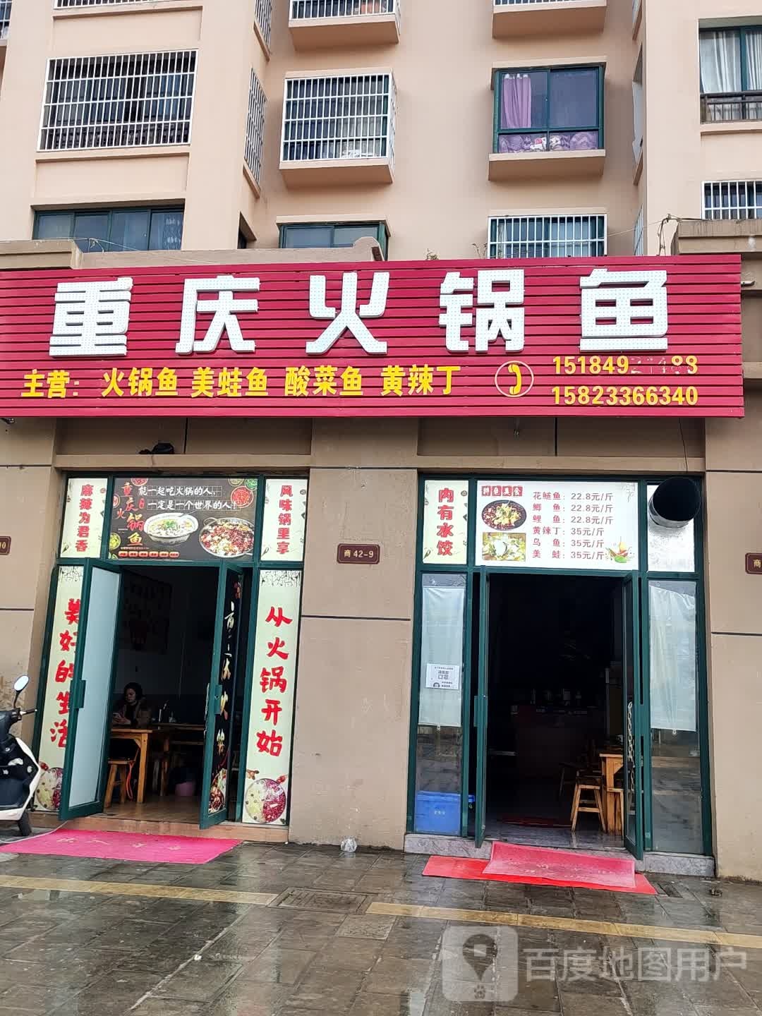 火斑鱼