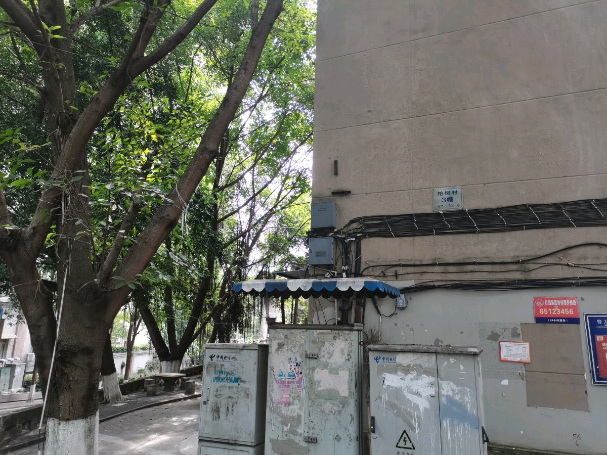 柏树村