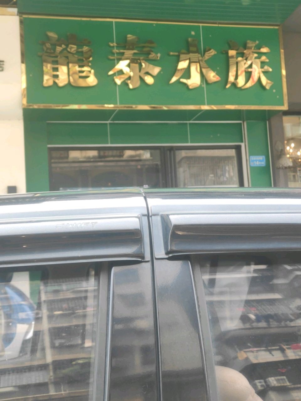 龙泰水族