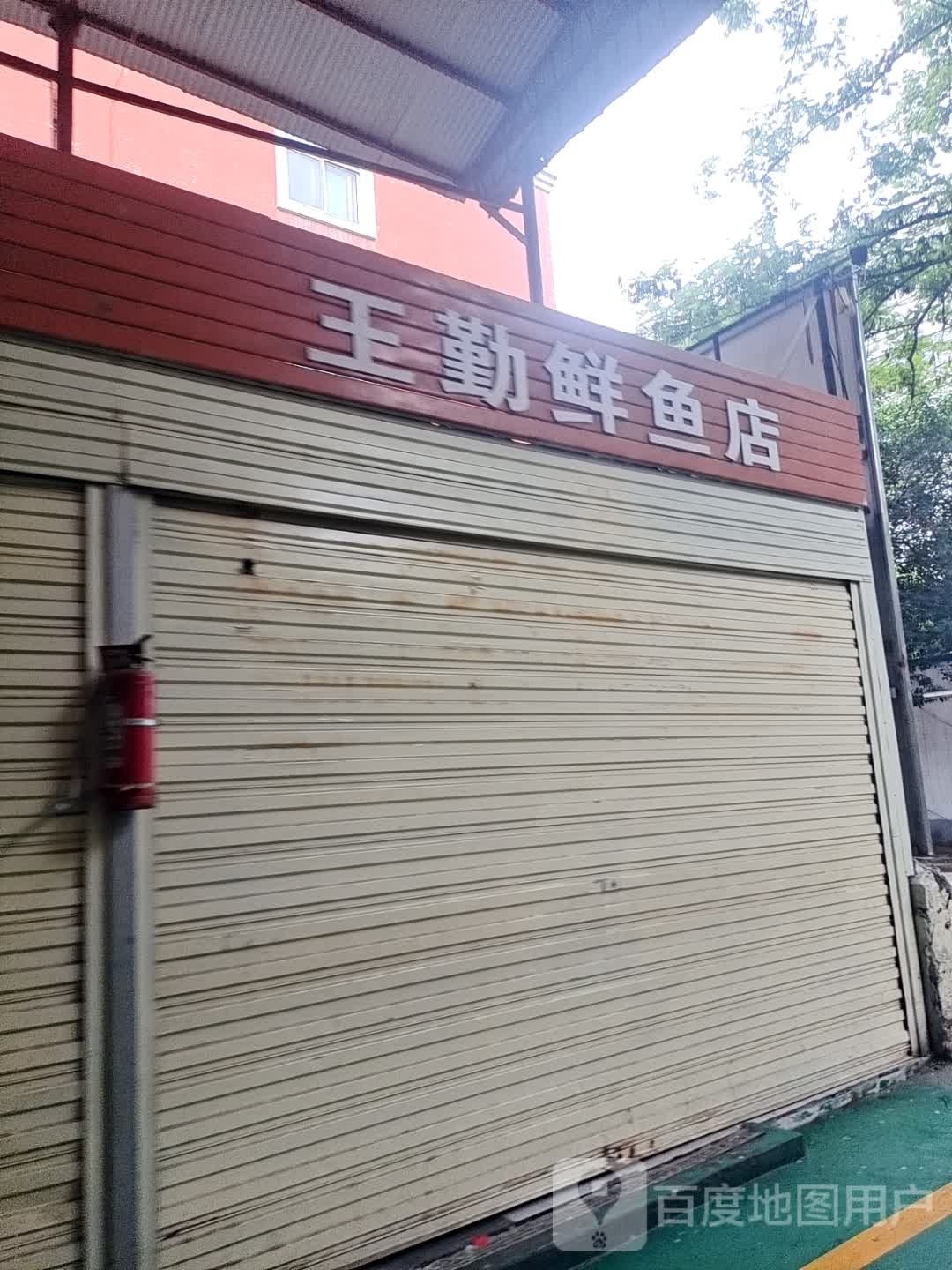 王勤鲜鱼店