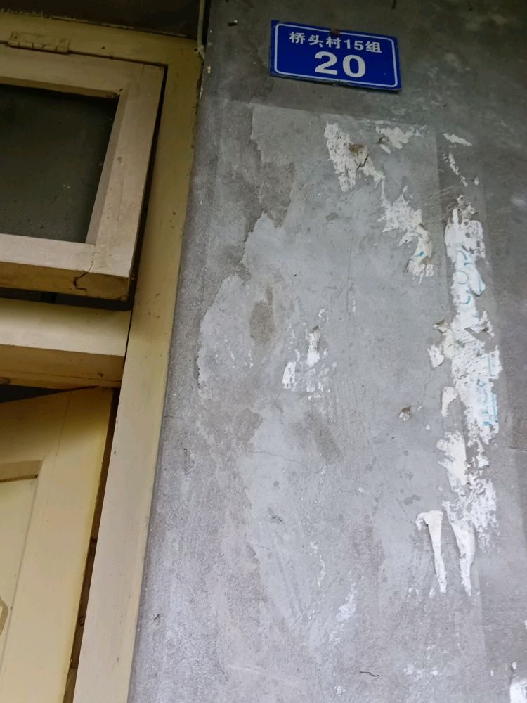 龙马潭区石洞街道桥头村15组20号