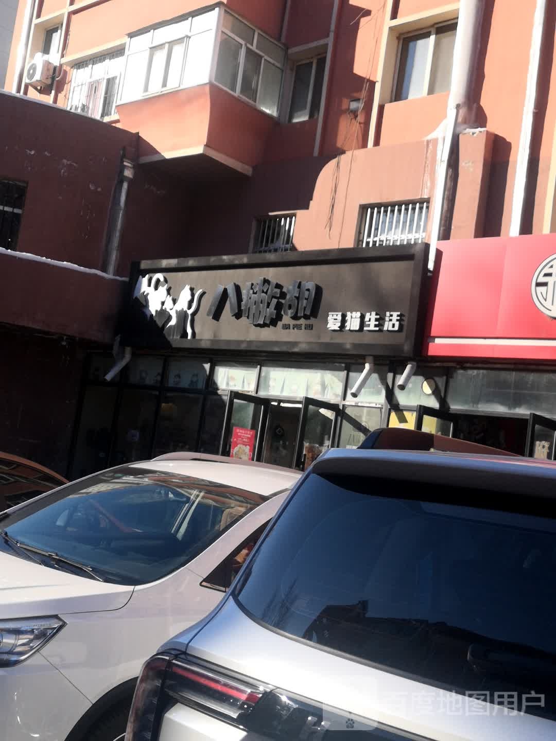 八撇胡爱猫生活