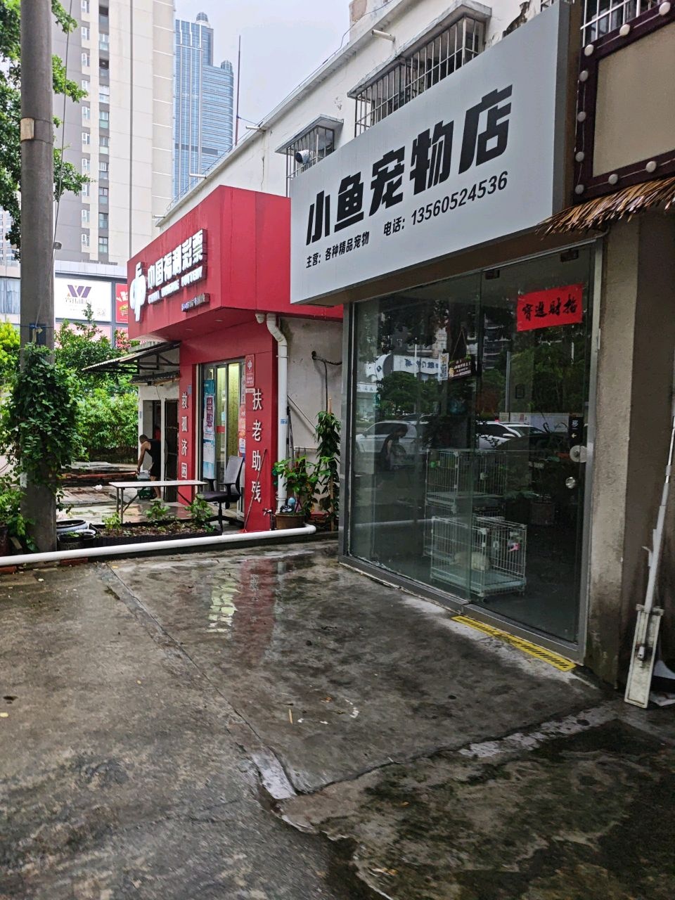 小鱼宠物店
