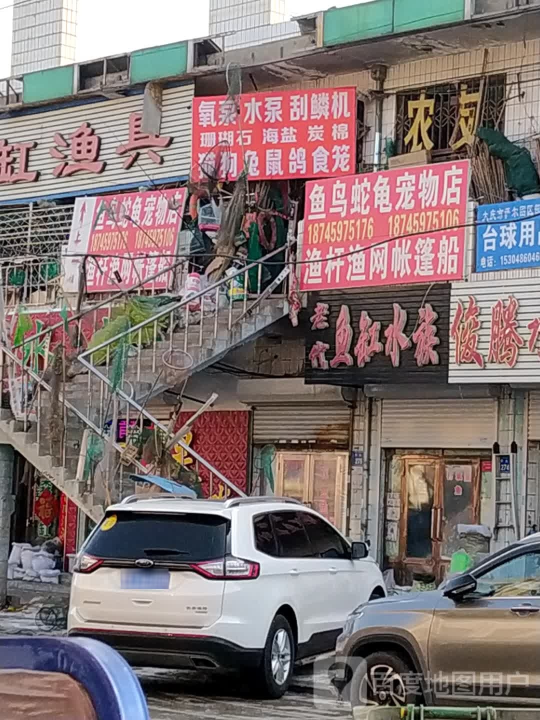 鱼鸟蛇龟宠物店