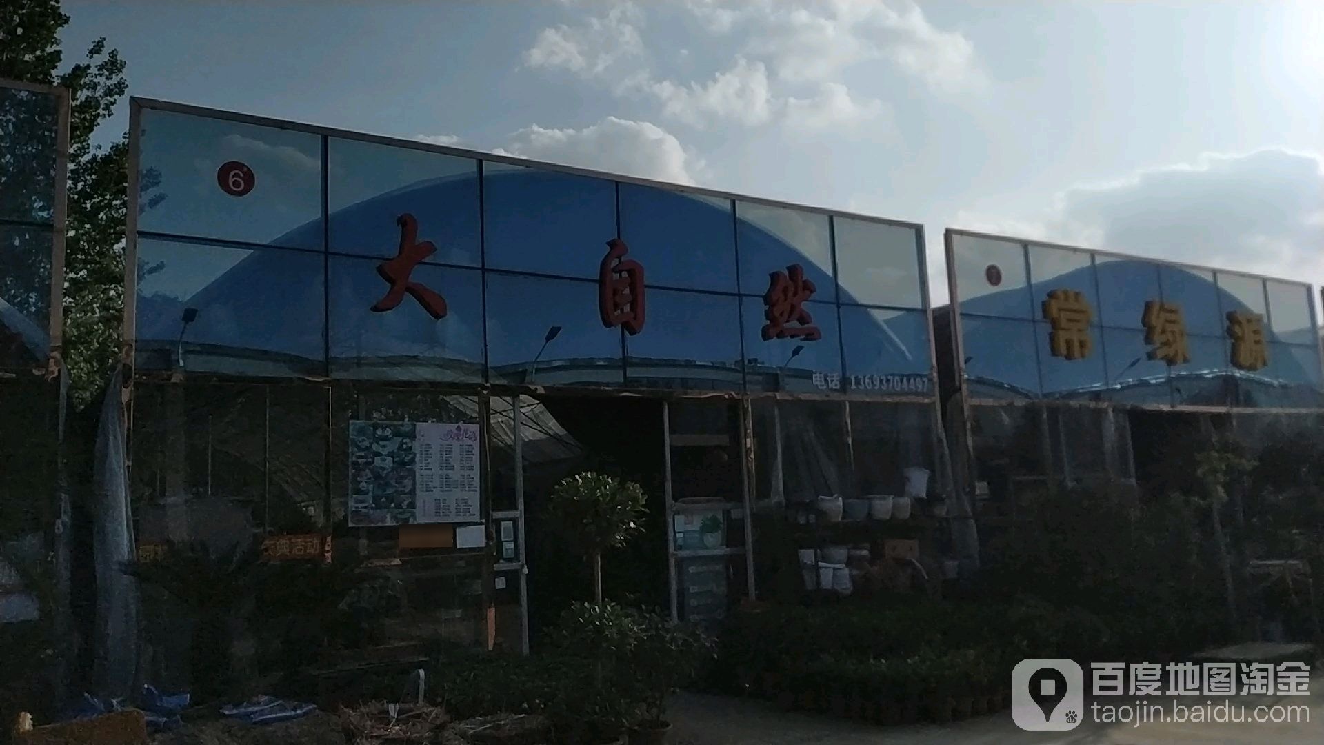 大区自然花卉(建设西路店)