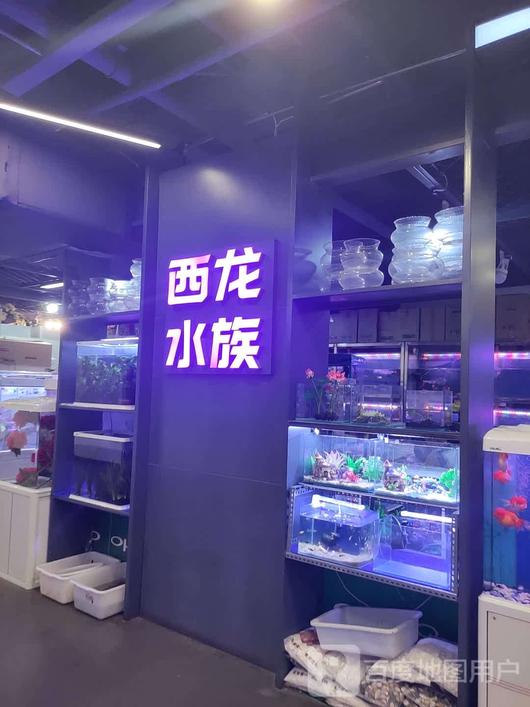 西泷水族(中东大市场店)