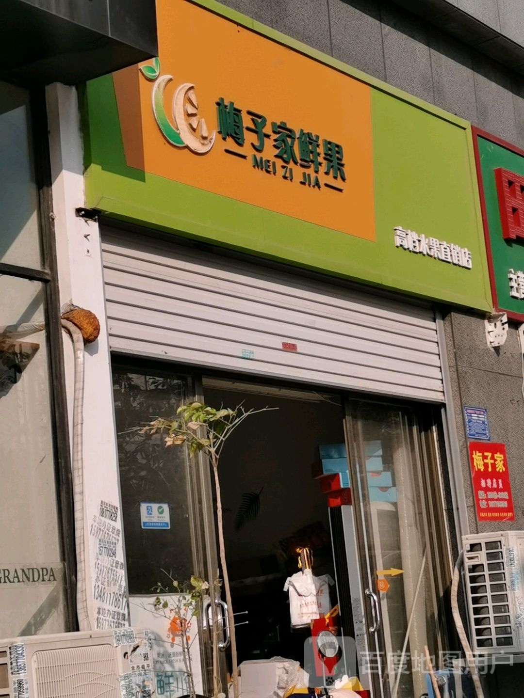 梅子家鲜果