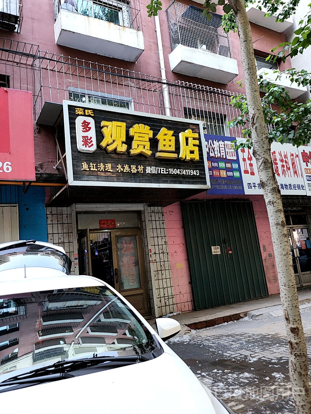 荣氏多彩观赏鱼店(安居为民小区店)