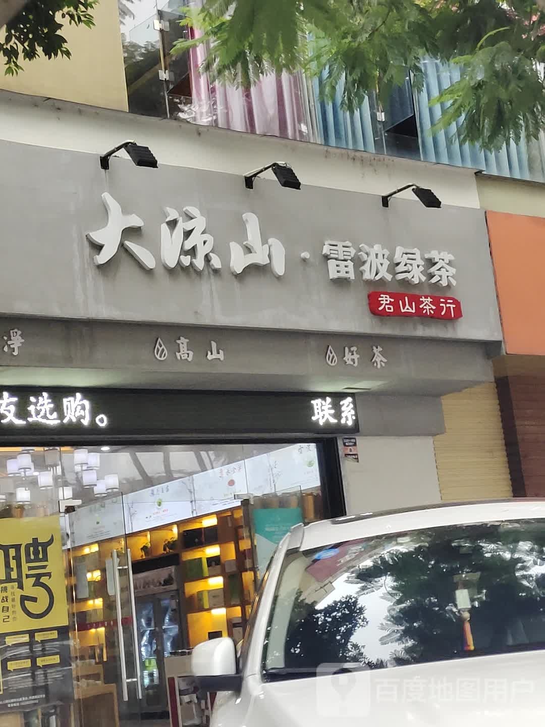 大凉山雷波绿茶