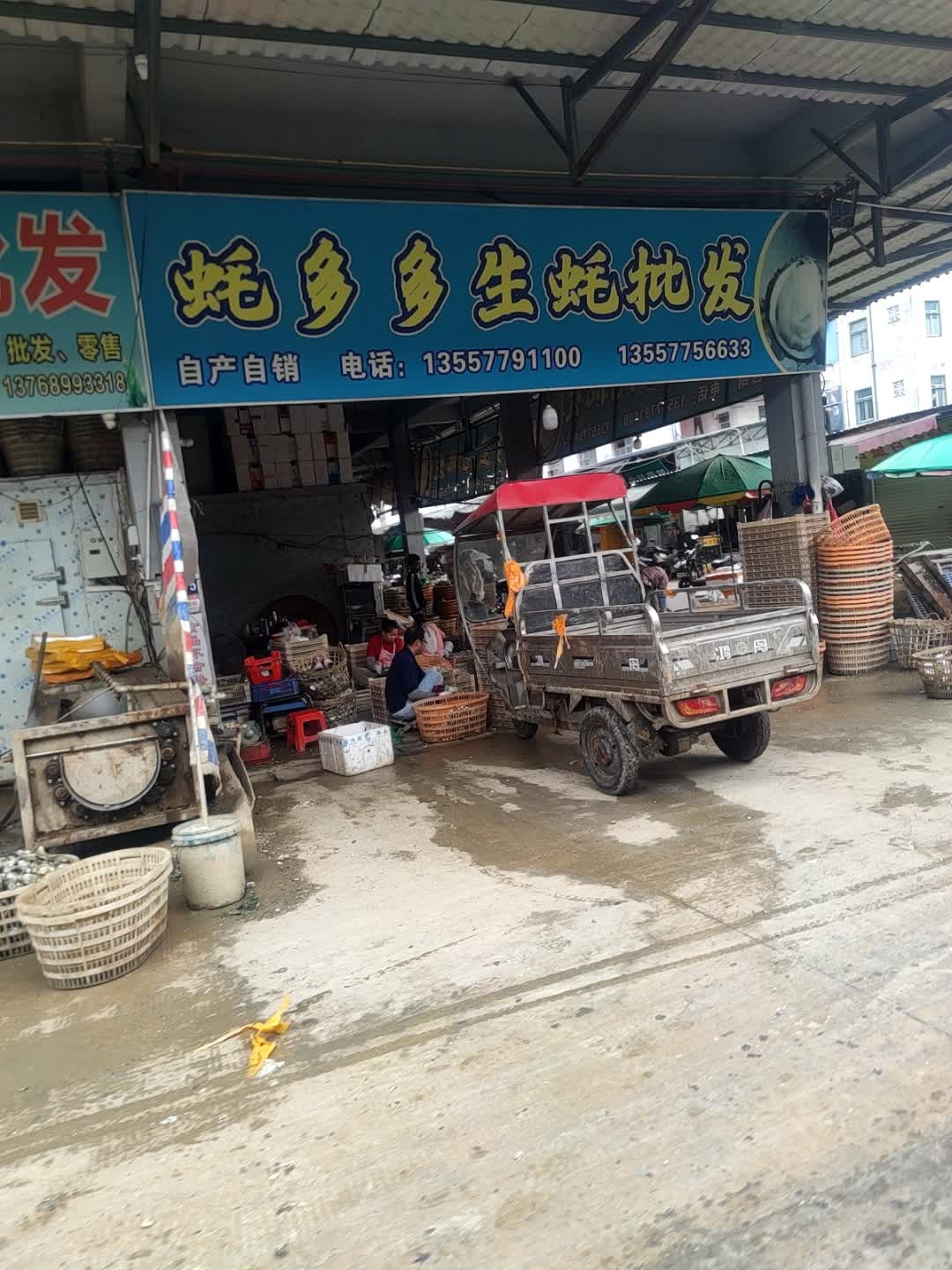 蚝多多生蚝批发(鸿达市场店)