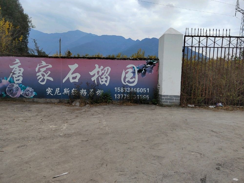 德昌大坪村4组唐家石榴园