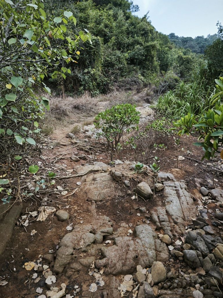 白龙炮台-龙骧台