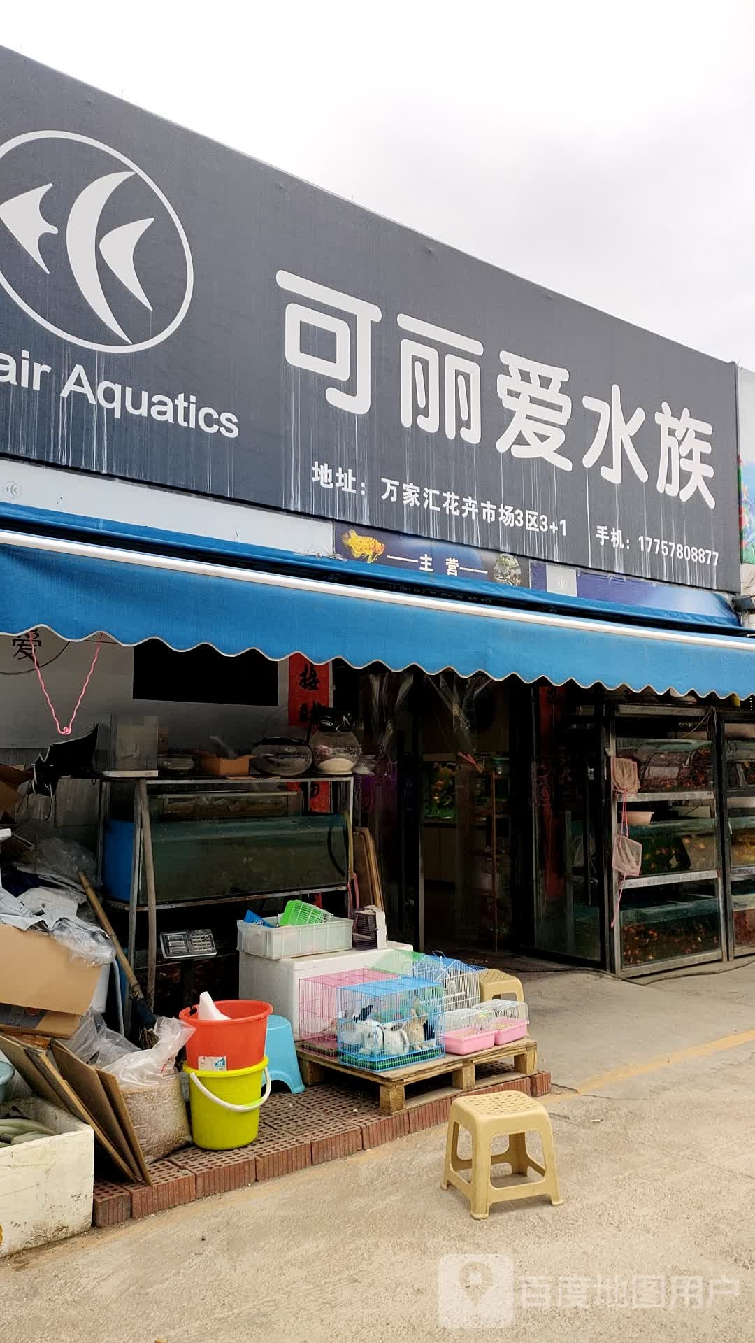 可丽瞹水族(教工路店)