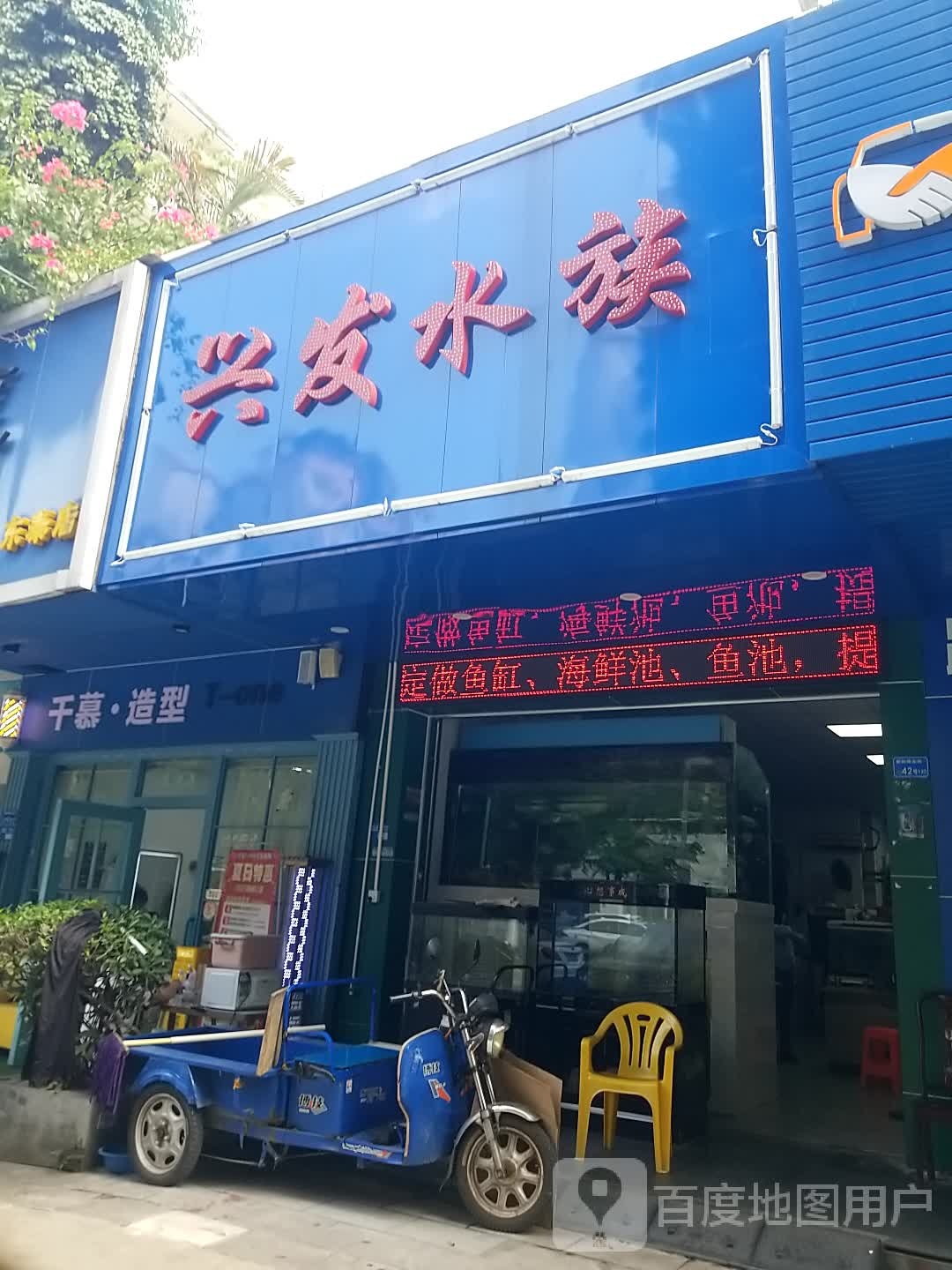 兴发水族(阳光假日店)