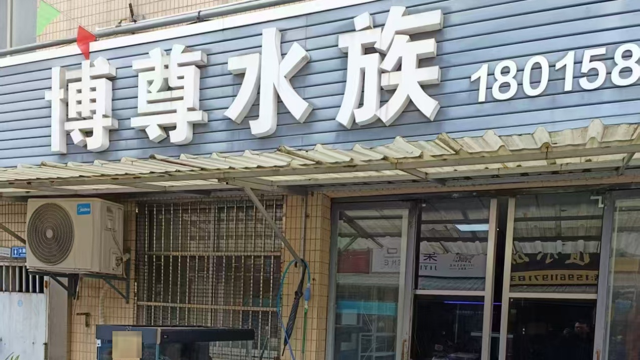 博尊水族