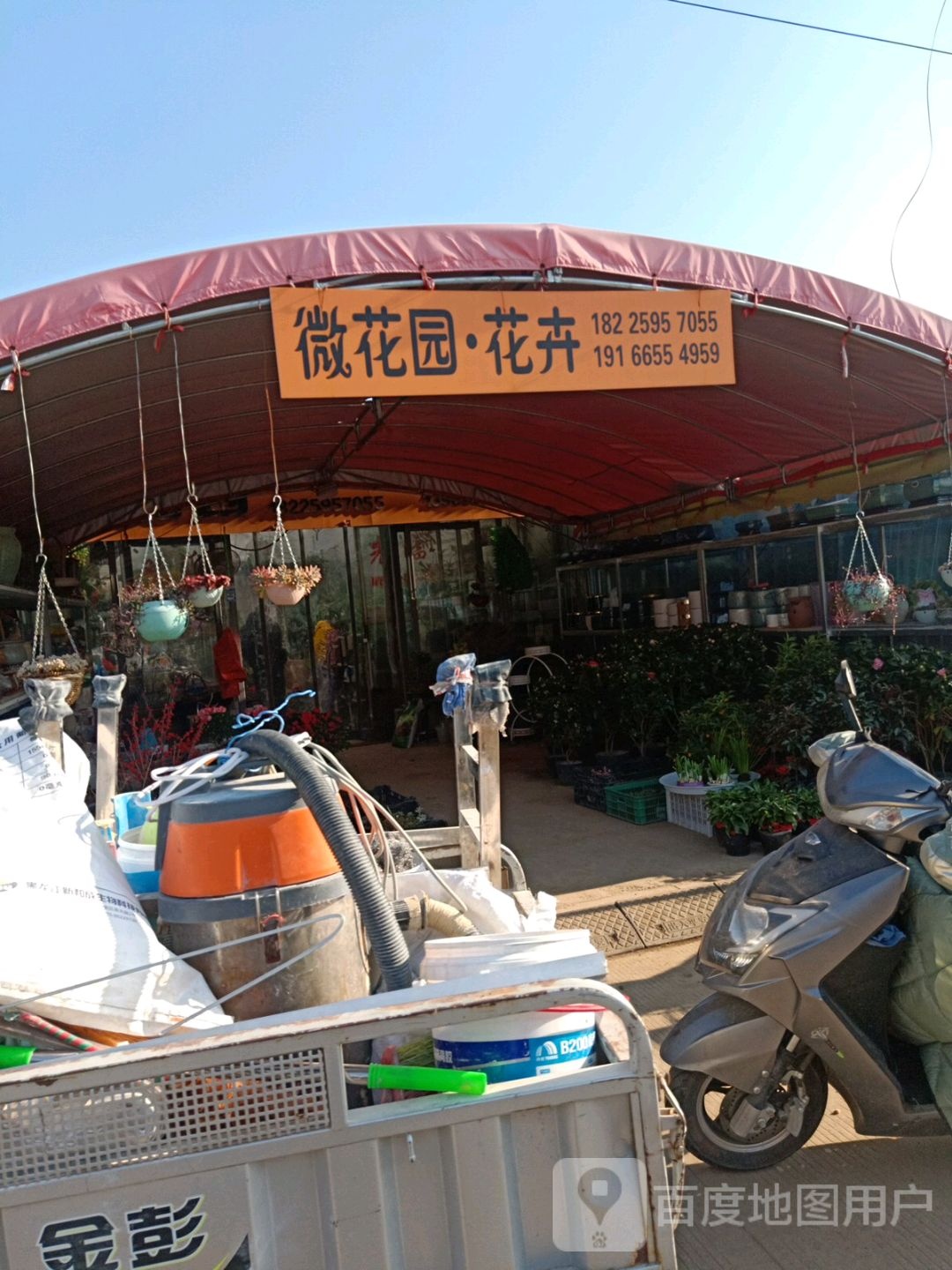 微花园花卉