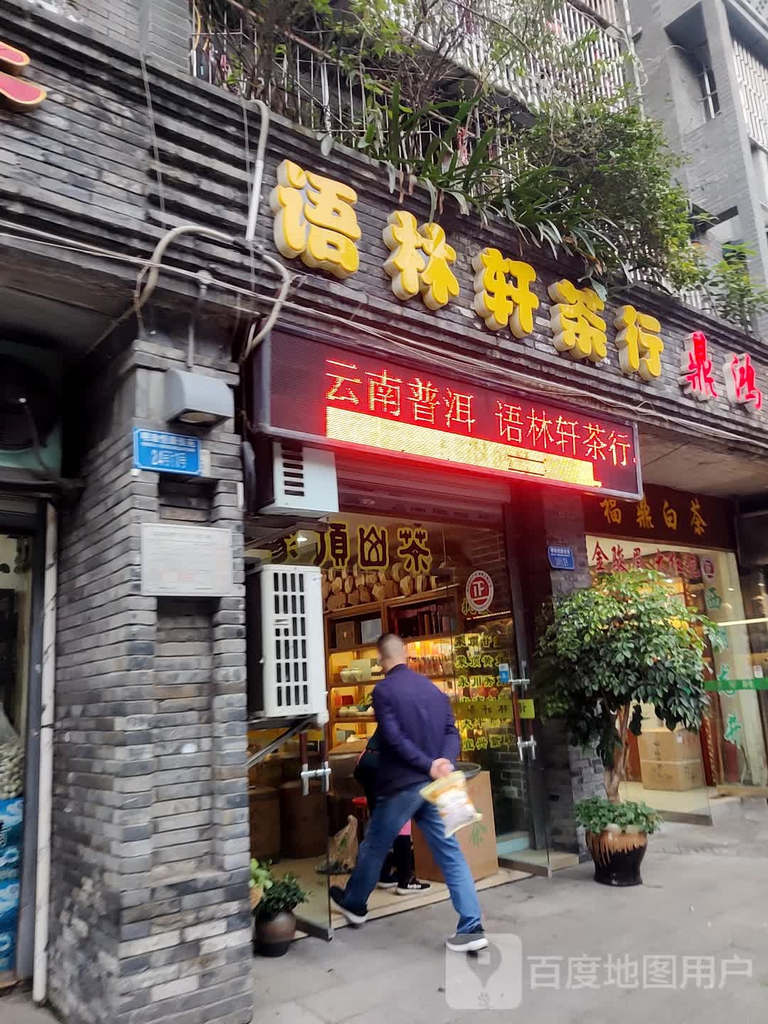 雨林轩茶行
