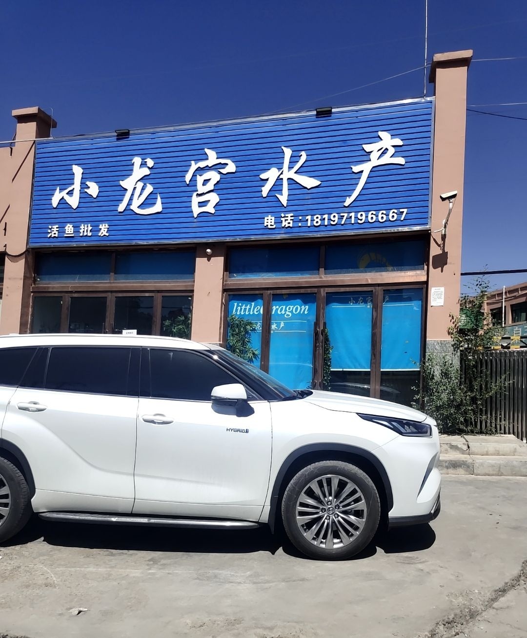 小龙宫水产