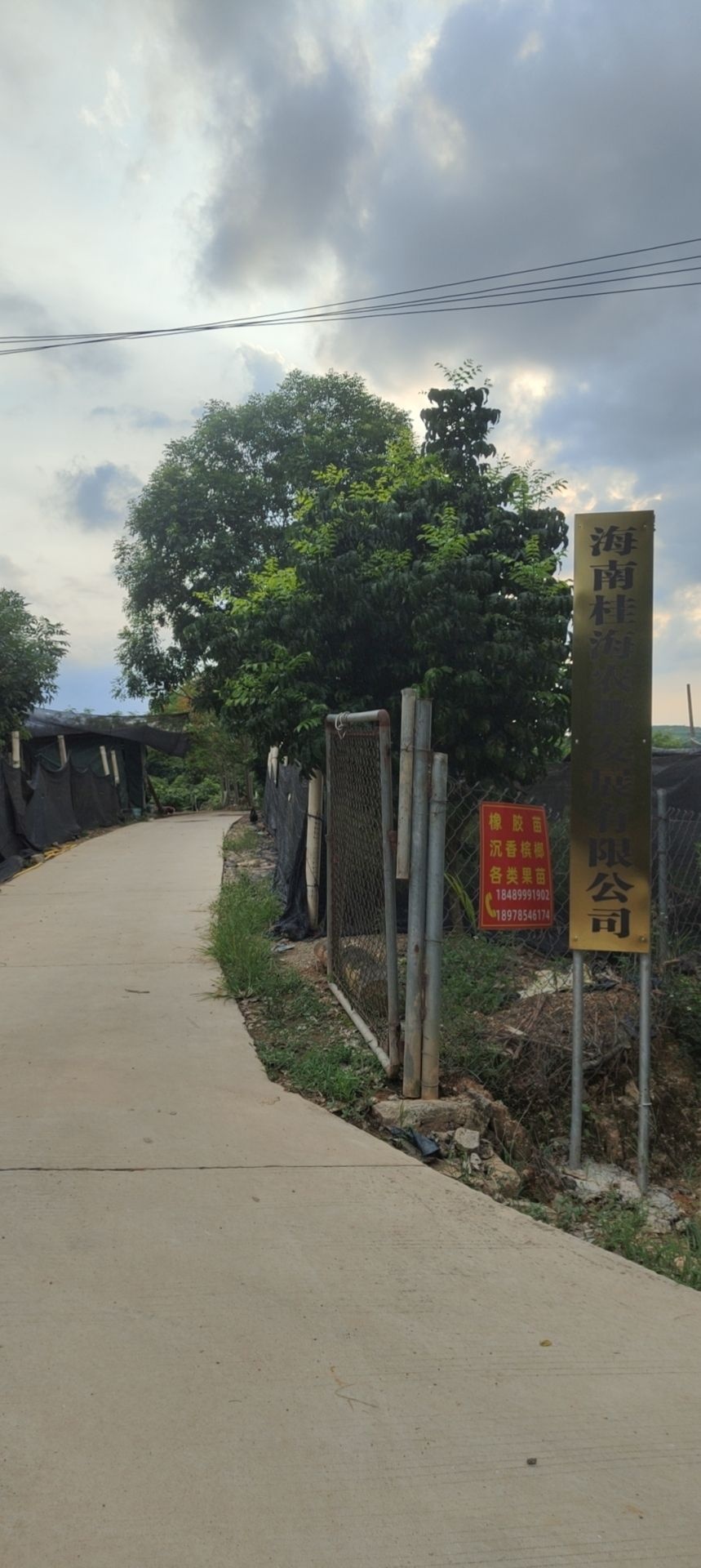 海南省桂海农业发展有限公司