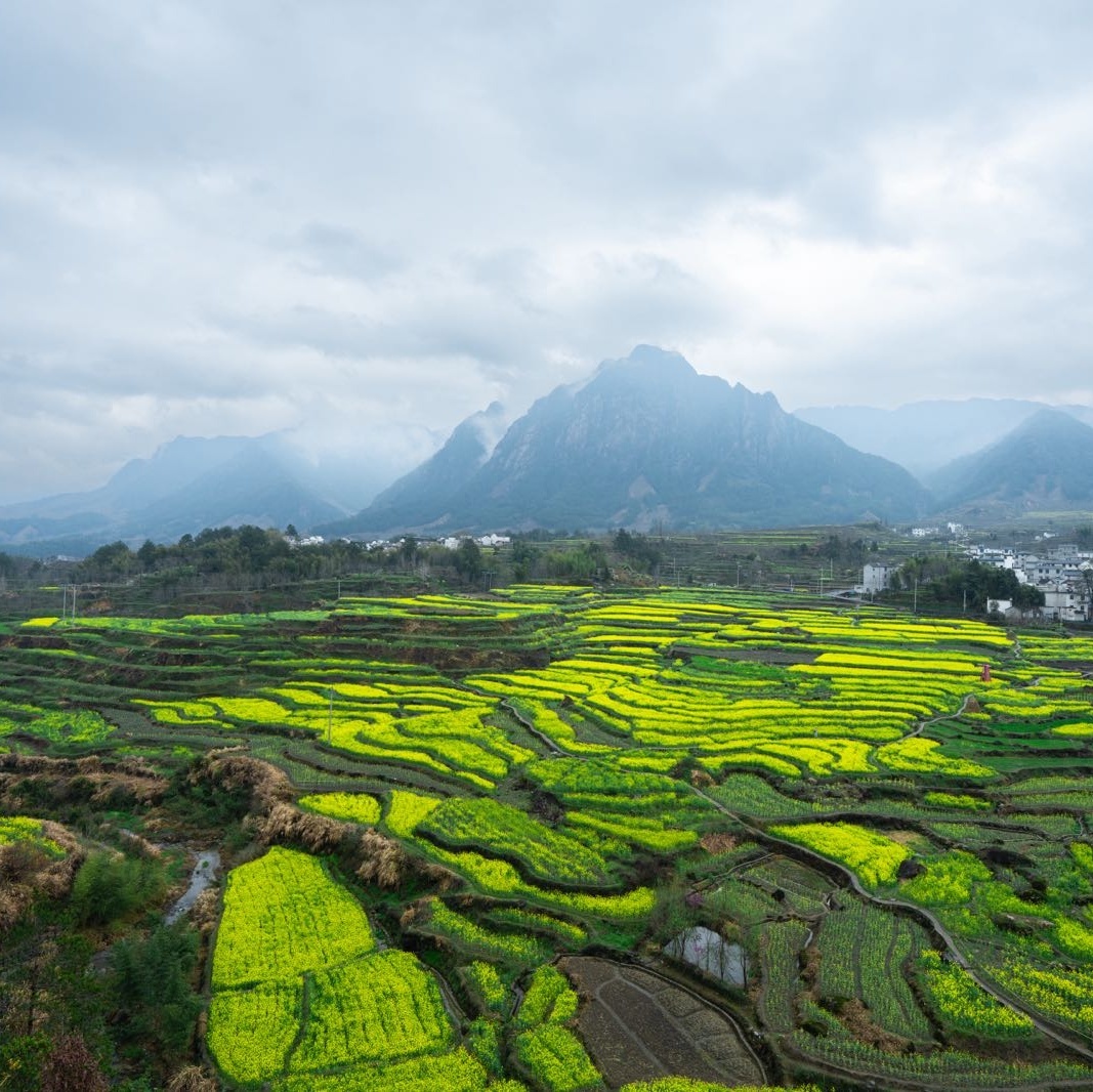 梅干岭观景台