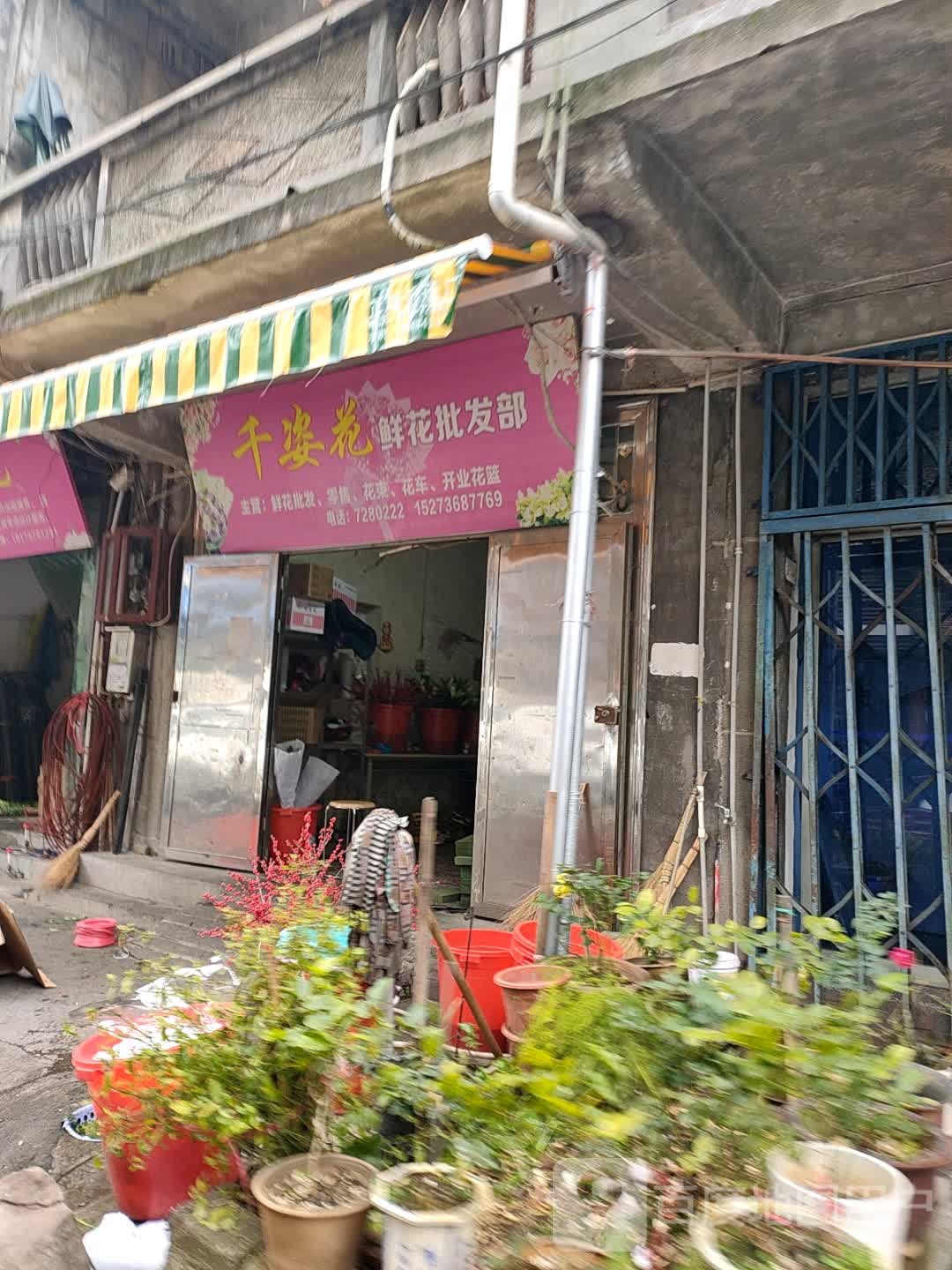 千姿花鲜花批发部